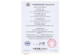 CCC电线RVV证书