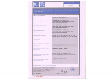 用于相互识别埃及设备的测试证书（IECEE）cB方案