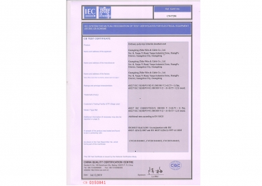 用于电气设备测试证书（IECEE）相互识别的IEC系统cB方案